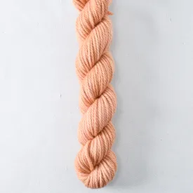 Bakewell Tart Partial Skeins - K2